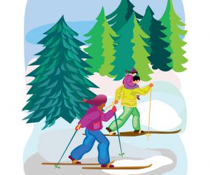 Загадки про лыжи с ответами